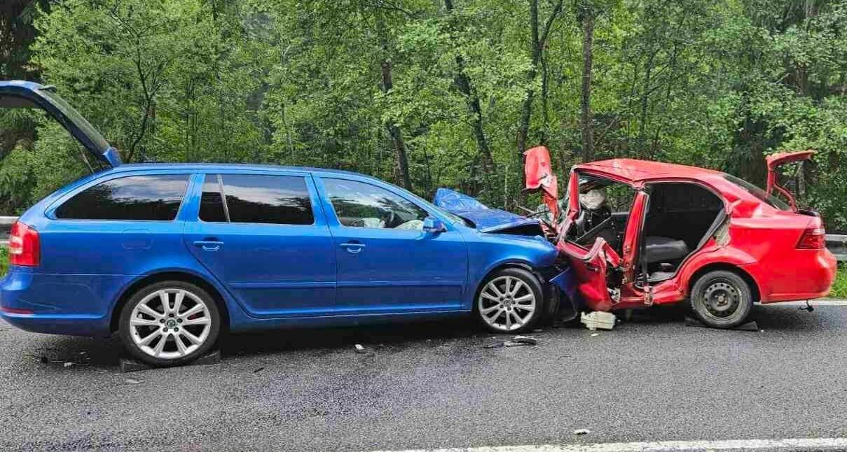 Tragická nehoda pri Vernári! Zrážku neprežil 30-ročný vodič